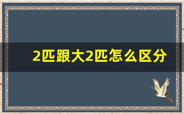 2匹跟大2匹怎么区分,空调26 35 50 72是什么意思